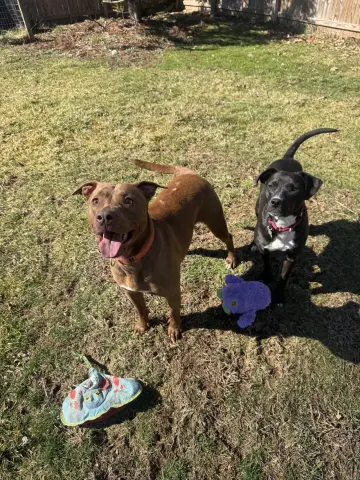 Freckles thumbnail 2