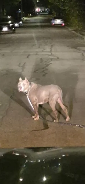 Boba Fetch - Photo 1