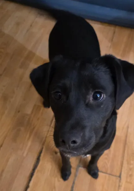 Pretty Girl - Photo 1