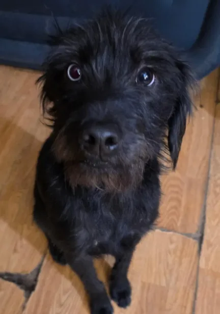 Pretty Girl - Photo 2