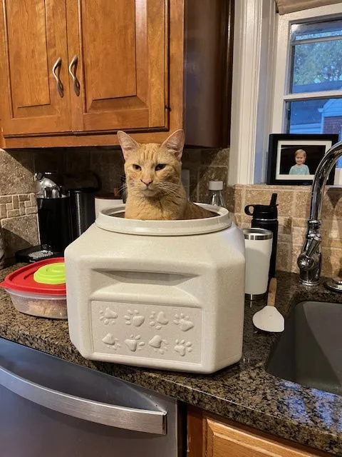 Clementine - Photo 2