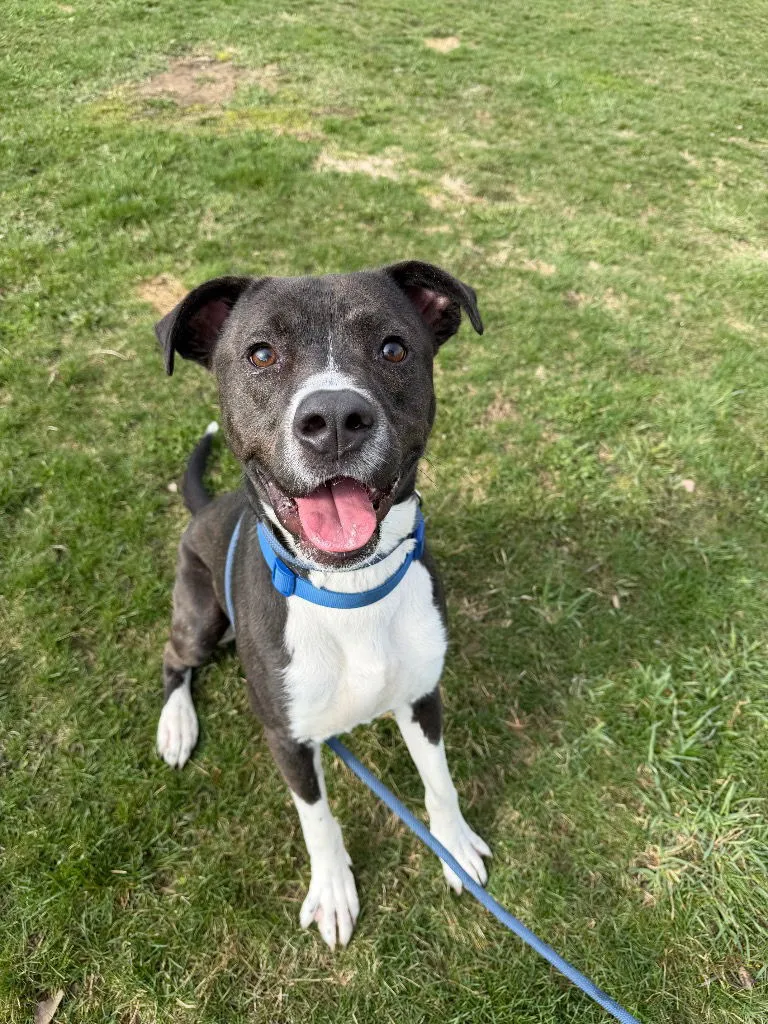 Big Handsome - Photo 2