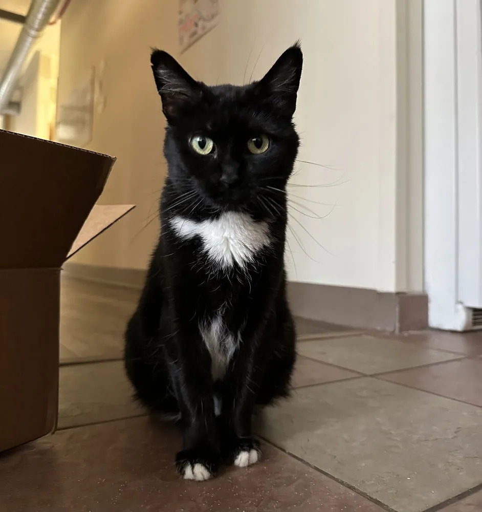 Mama Ember - Photo 1