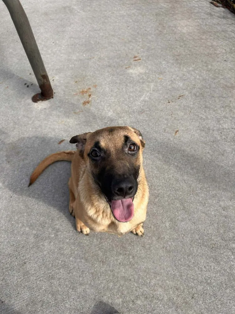 Annie Oakley - Photo 2