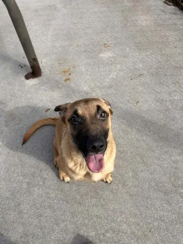 Annie Oakley thumbnail 2