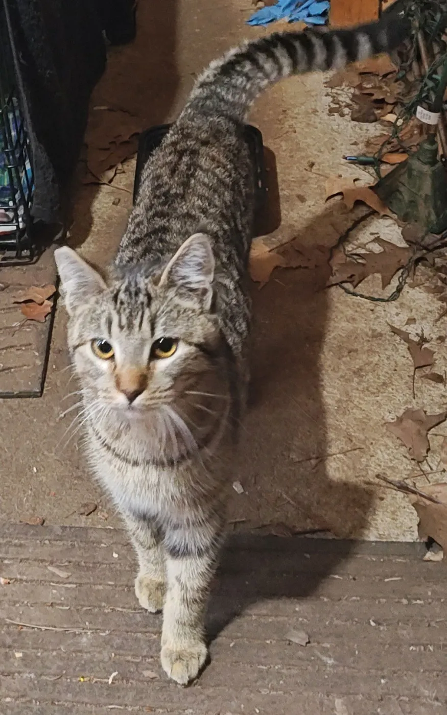 Farm Worker - Photo 2