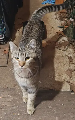 Farm Worker thumbnail 2