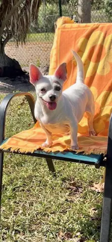 Ivy Rose thumbnail 2