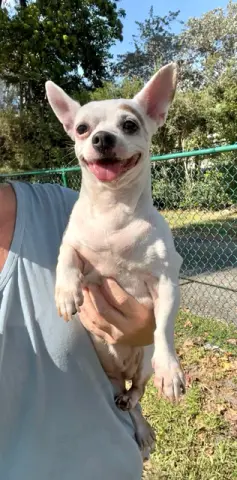 Ivy Rose thumbnail 4