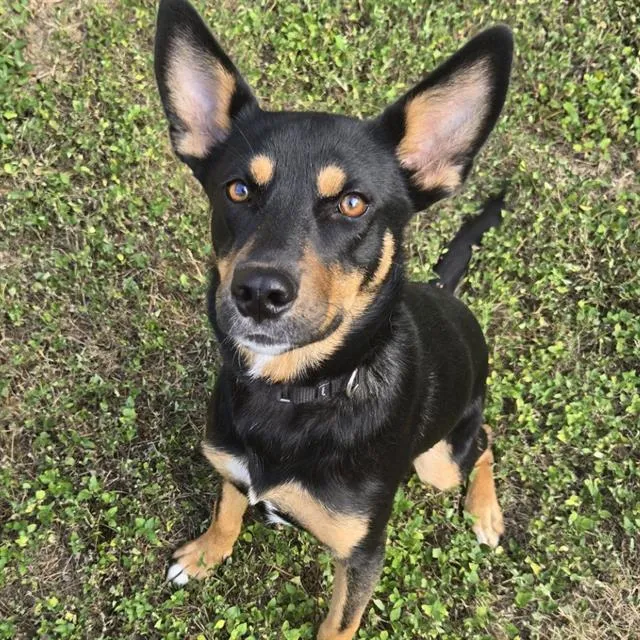 Claire Bear - Photo 1