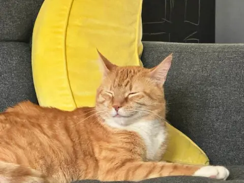 Precious thumbnail 2