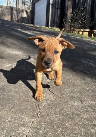 June-Bug thumbnail 2