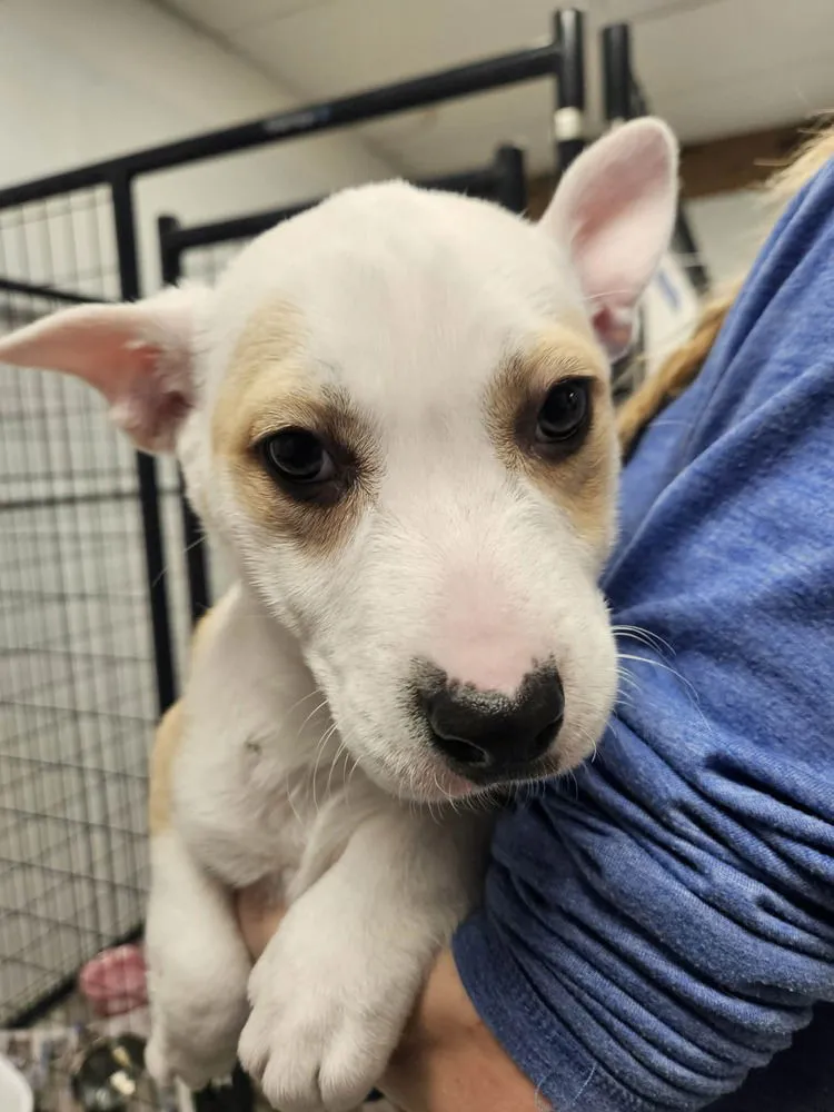 Maybelline - Photo 1