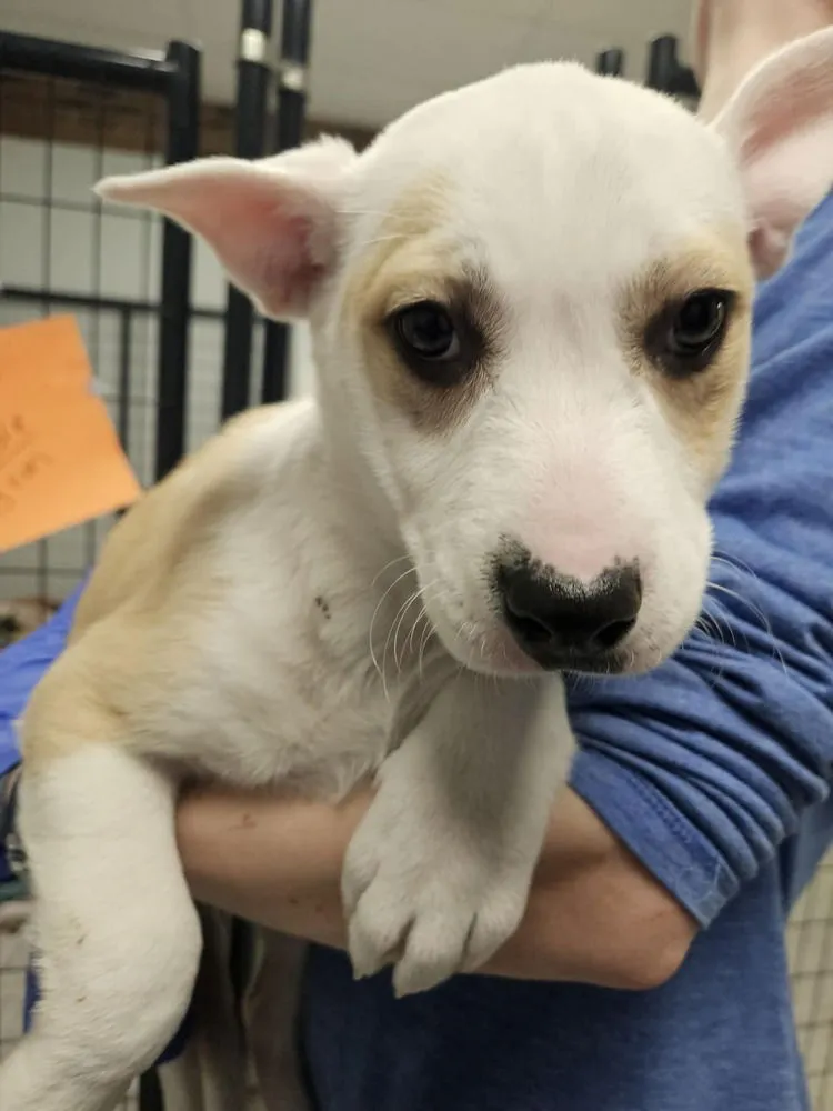 Maybelline - Photo 2