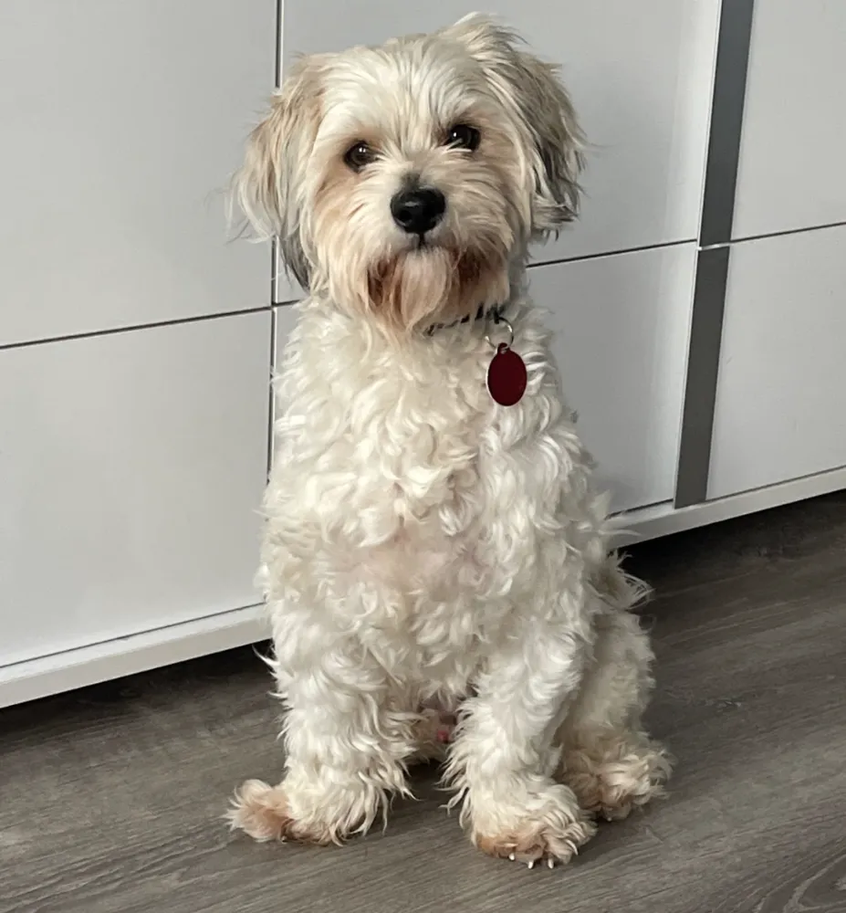 Ghost Malone - Photo 1