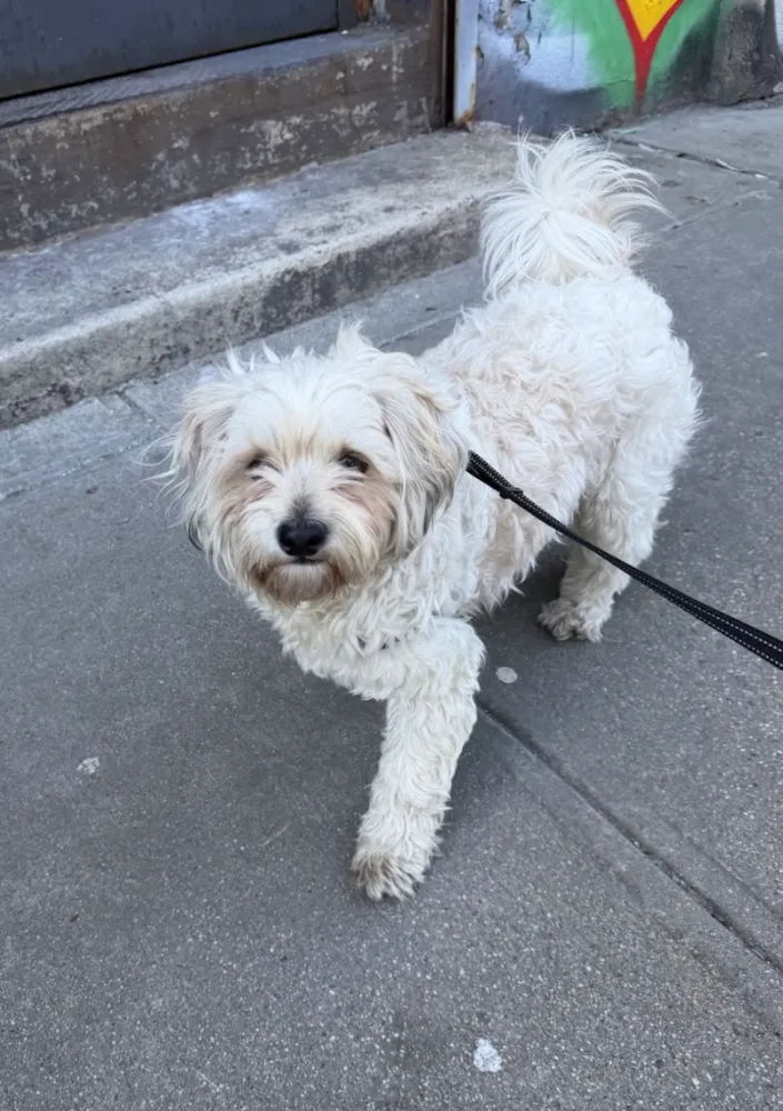 Ghost Malone - Photo 2