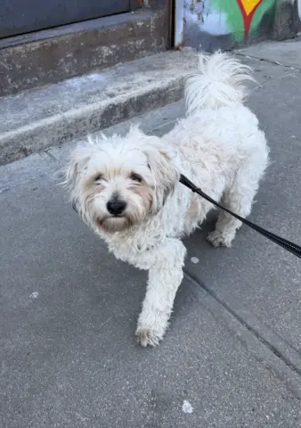 Ghost Malone thumbnail 2