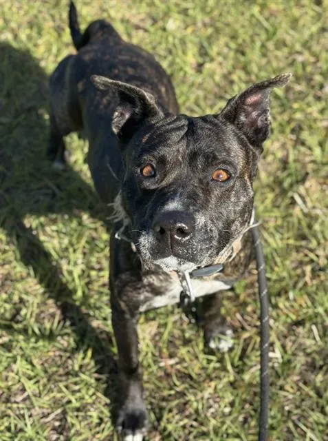 Cincinnati - Photo 1