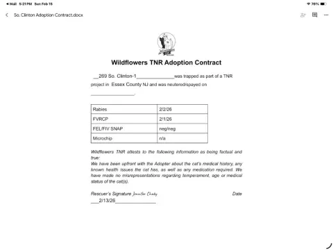 Lancelot thumbnail 2