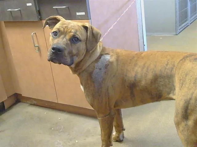 Waylon Myers - Photo 1