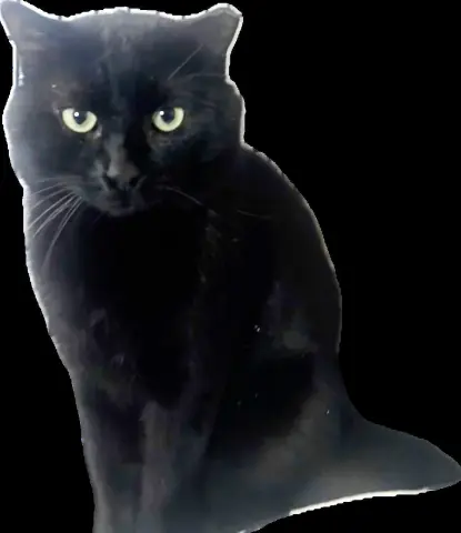 Midnight thumbnail 2