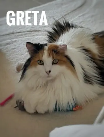 Greta