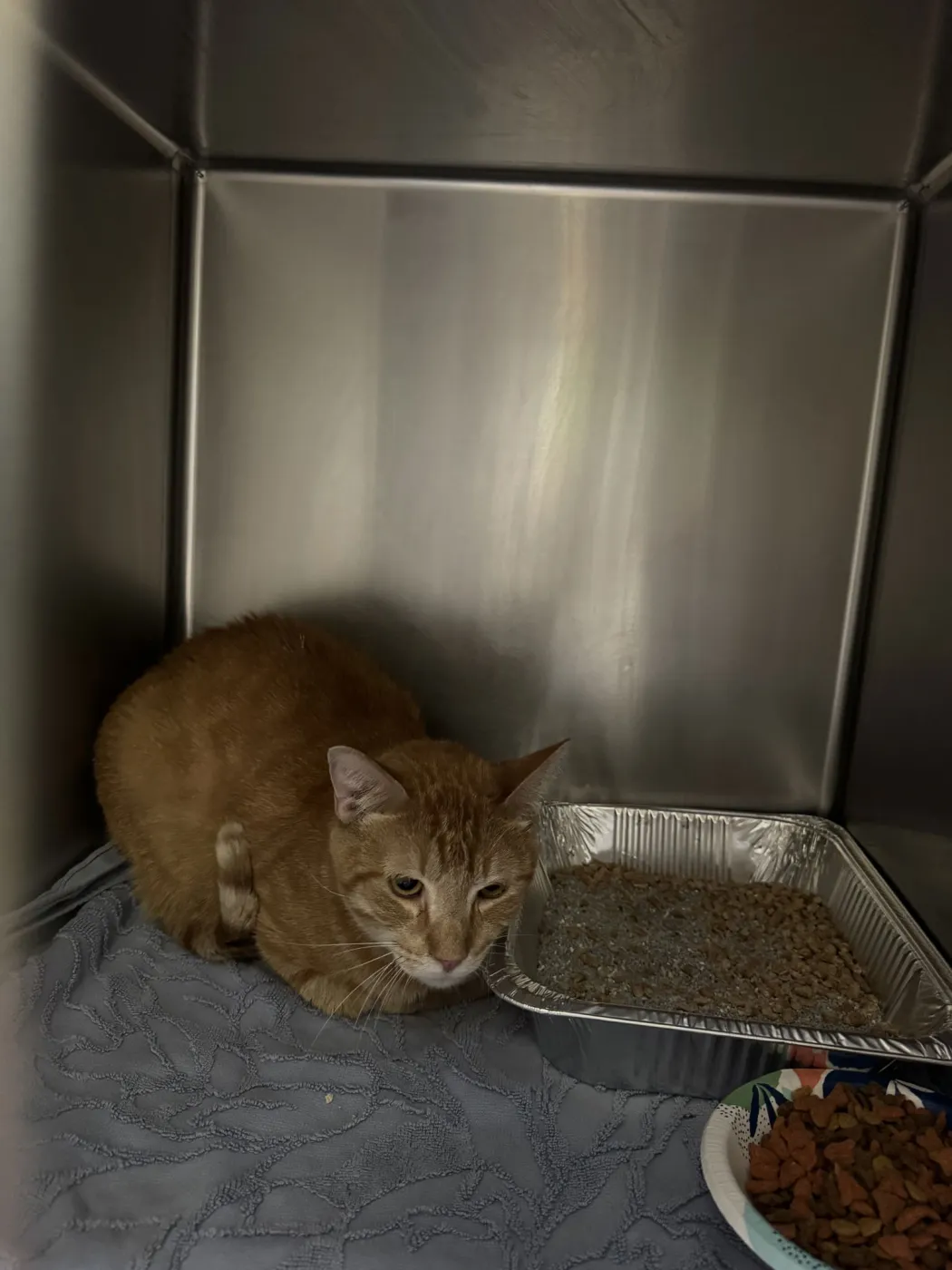 Michael B Jordan - Photo 1