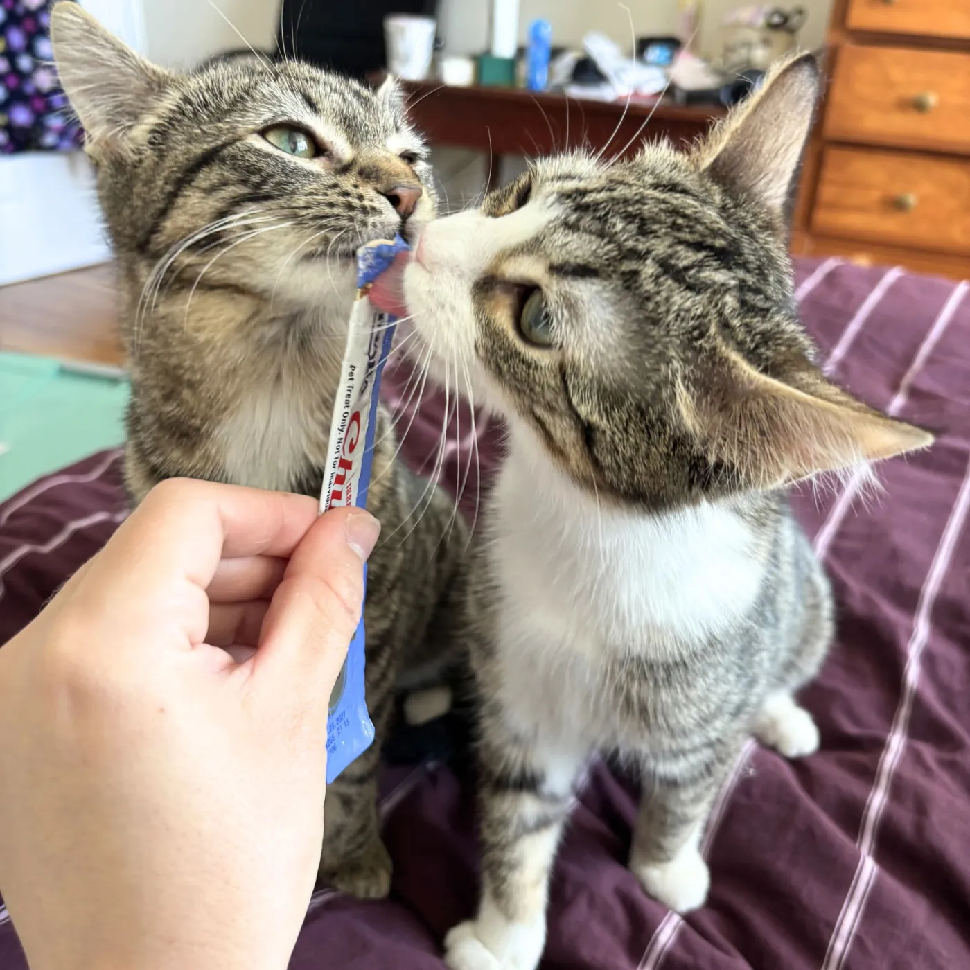 Patricia & Roseanna - Photo 1