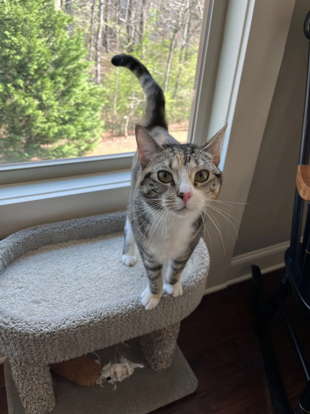 Samantha Claire - Photo 1