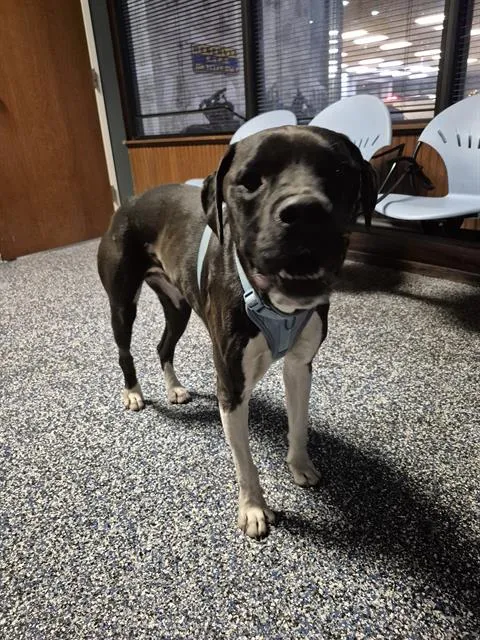 Bartholomew - Photo 1