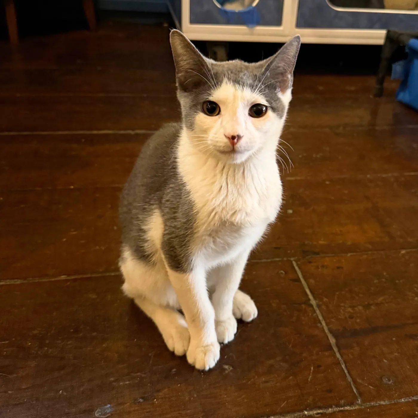 Bradley Cooper - Photo 1