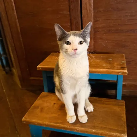 Bradley Cooper thumbnail 2