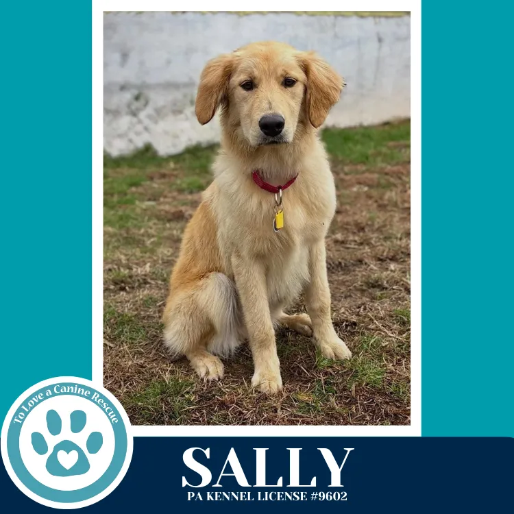 Sally - Photo 1