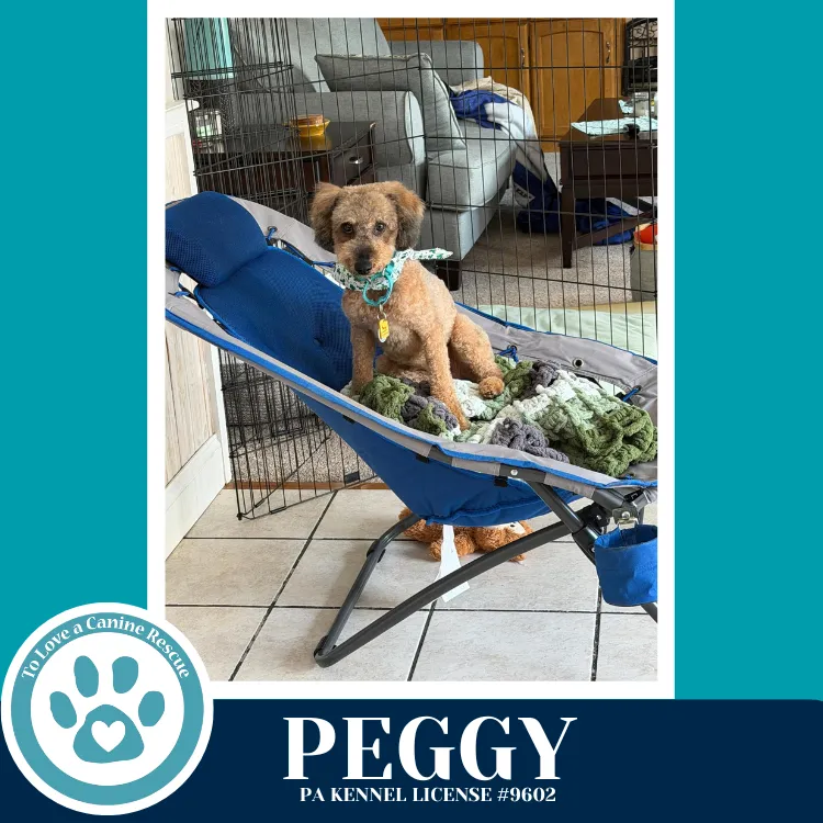 Peggy - Photo 2