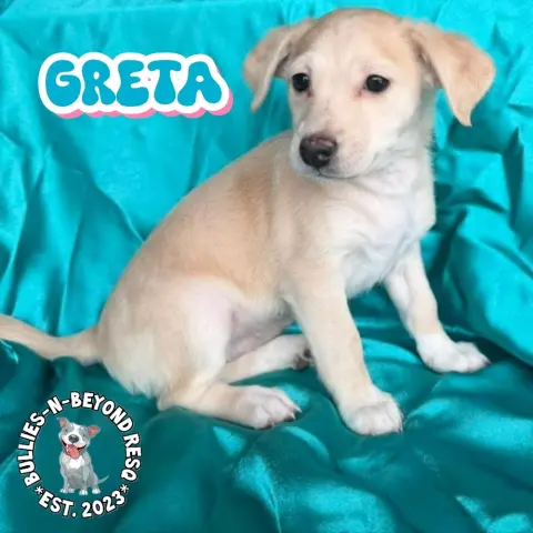 Greta