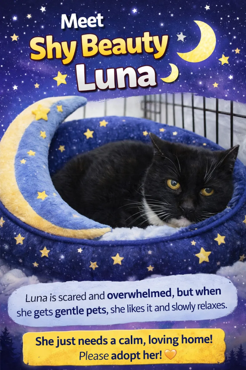 Luna - Photo 1
