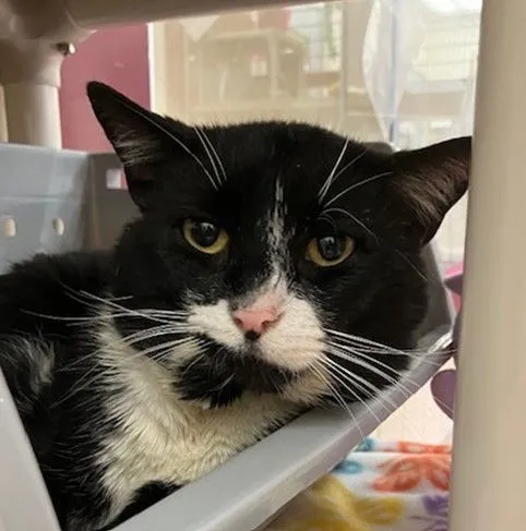 Charlie Brown - Photo 1