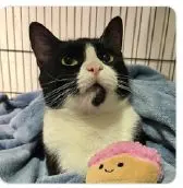 Samantha thumbnail 2