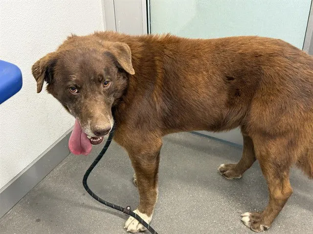 James Pond - Photo 1