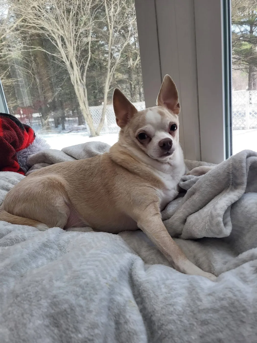 Milo & Lola - Photo 2