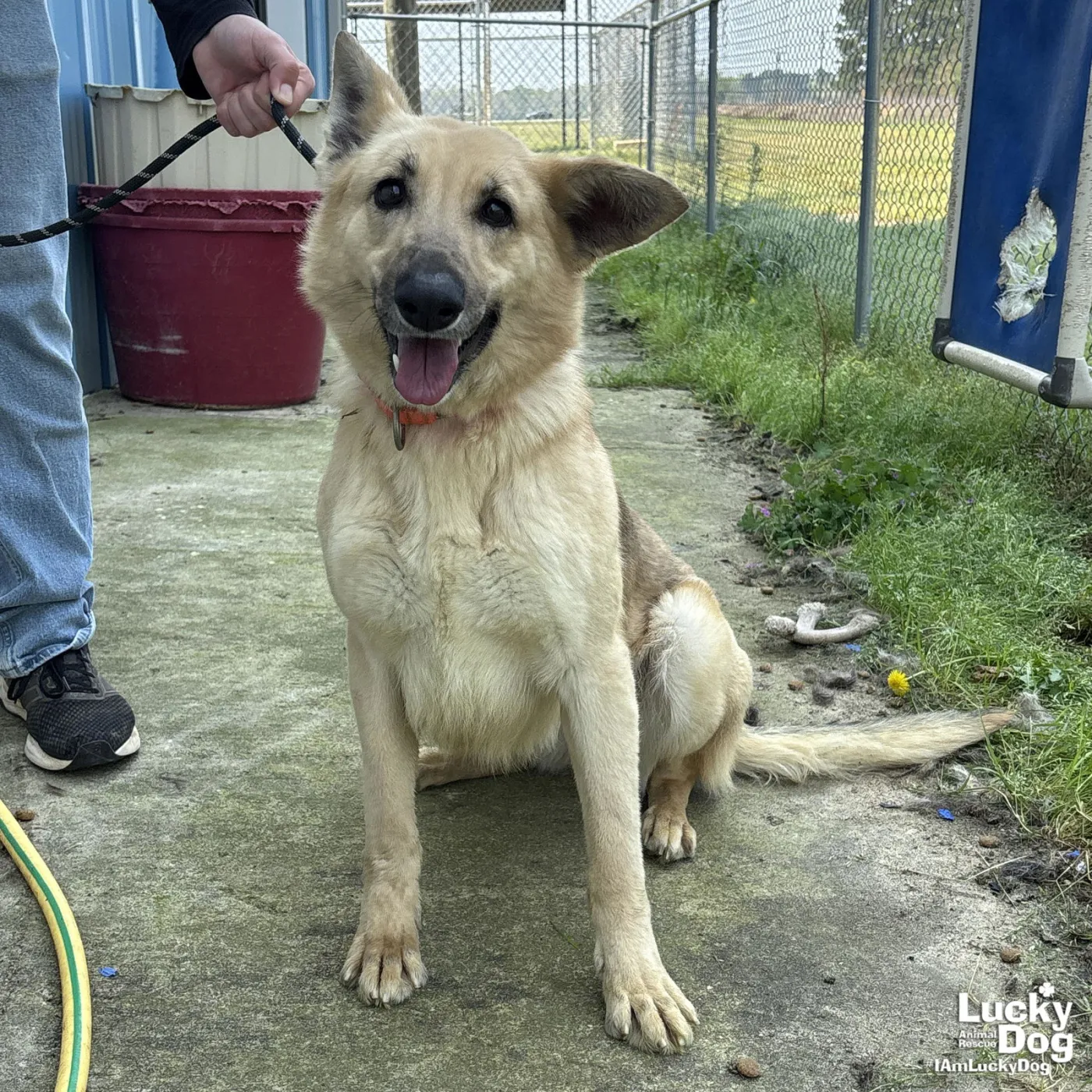 Winn Dixie - Photo 1