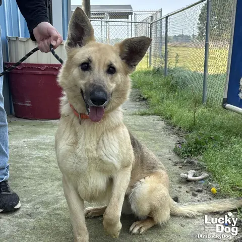 Winn Dixie thumbnail 2