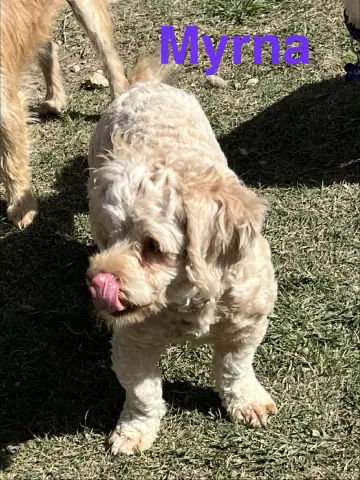 Myrna thumbnail 2