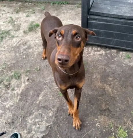 Felicidad thumbnail 2