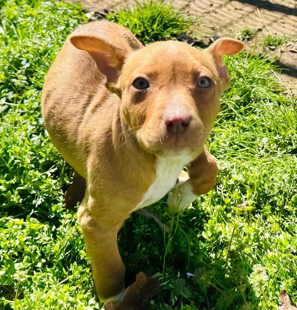 Robin Hood - Photo 2