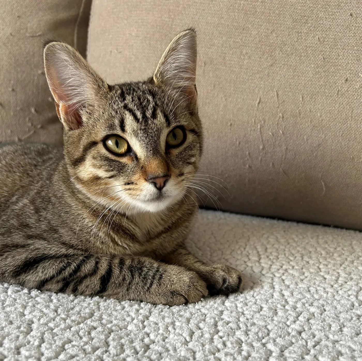 Ellie May & Meadow - Photo 1