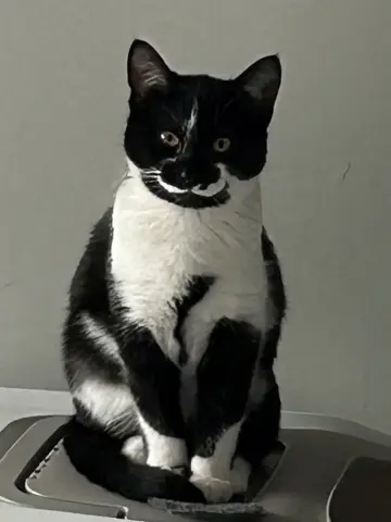 Ellie May & Meadow thumbnail 2