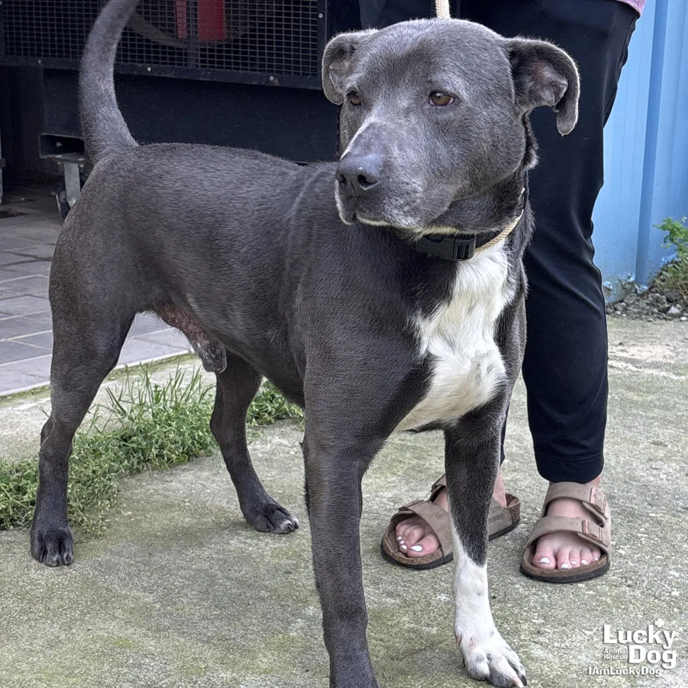 Hufflepuff - Photo 1