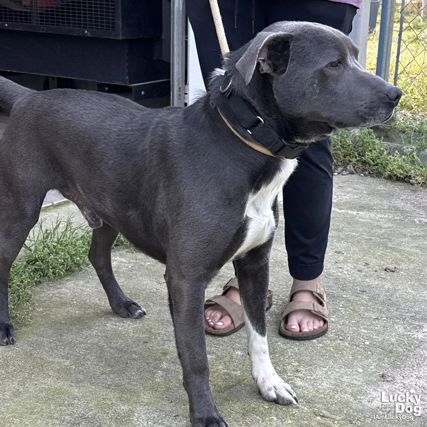 Hufflepuff - Photo 2