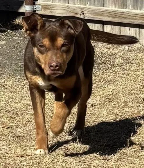 Tinkerbell - Photo 1